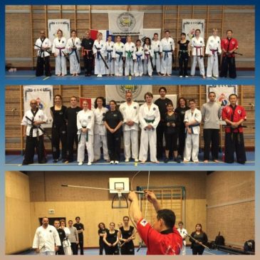 Seminar in Netherlands(30/04/2015) 네덜랜드 검무예 세미나