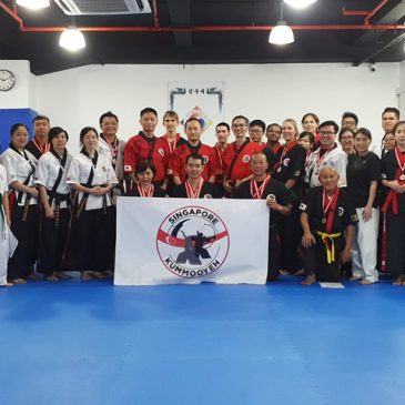 2019 Kummooyeh Hanmadang & seminar in Singapore (2019 싱가포르 검무예 한마당)